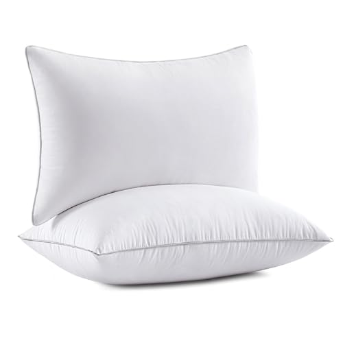 MIULEE 20x26 Pillow Inserts (Set of 2) -Decorative Throw Pillow with 100% Cotton Cover Rectangle for Sofa Couch - size: 20x26 Inch