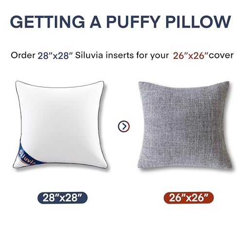 Siluvia 28"x28" Pillow Insert Set of 2 Square Throw 28 Pillows with 100% Cotton Cover for Sofa, Couch, and Bed - White - size: 28"x28"