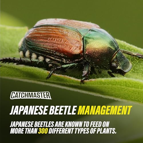 Catchmaster Japanese Beetle Trap Bags 6 Pack, Outdoor Traps w/Dual Lure