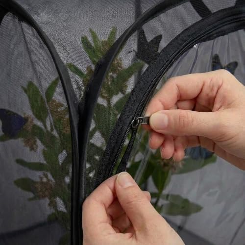 Insect & Butterfly Habitat Cage, Portable Pop-Up Terrarium with Mesh Sides, Bug Catching & Observation Enclosure for Caterpillars, Small Insects, Outdoor & Classroom Use, 12 Inches Tall