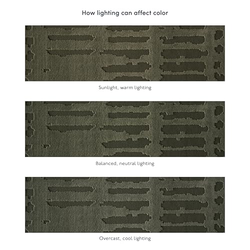 Revival Rugs Shell 5'x8' Area Rugs for Living Room Bedroom Dining Room - Washable, 100% Recycled, Oeko-TEX Certified, Modern, Medium Pile, Green - color: Green, size: 5'3" x 7'10" (Rectangular)