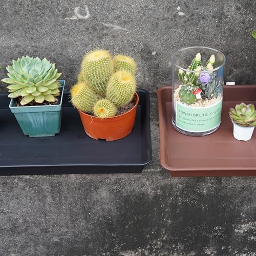 VUWEZ Plant Saucer Growing Tray, Seed Starter Tray Rectangular, Heavy Sturdy Plastic Plant Drainage Saucers, Plant Drip Trays for Pots, Seed Starter Growing Trays (11 x 9 inch, 6 Pack)