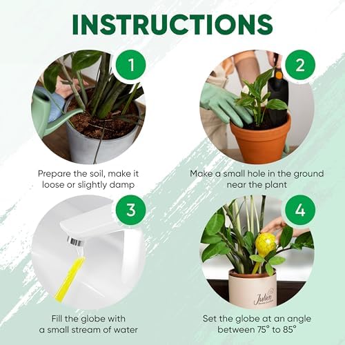 Plant Watering Globes Set of 8, Large - Glass Self Watering Globes