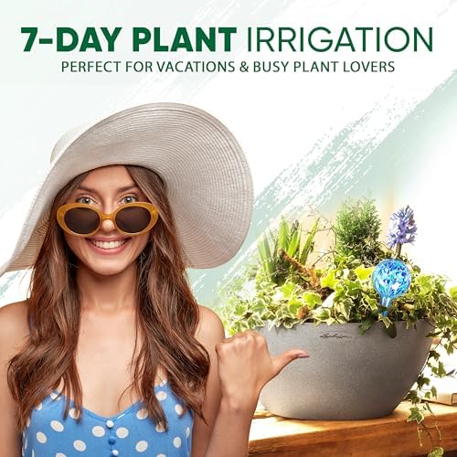 Plant Watering Globes Set of 8, Large - Glass Self Watering Globes
