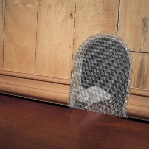 Stainless Steel Vent Guard Mesh, 10 Mesh 2mm Hole Metal Screen, Rodent Control Barrier for Garden Fence, Window and DIY Craft