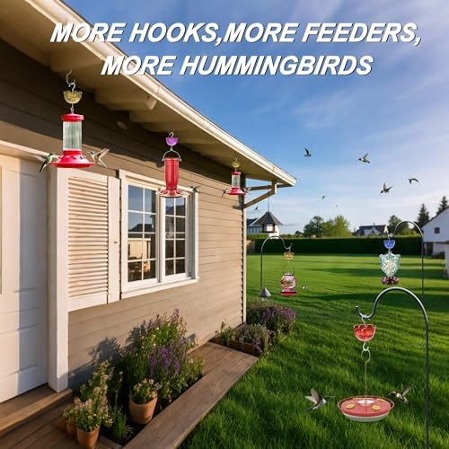 Ant Moat for Hummingbird Feeders 6-Pack 4OZ