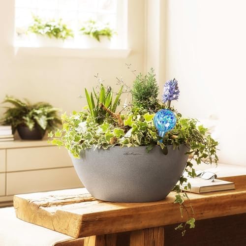 Plant Watering Globes Set of 8, Large - Glass Self Watering Globes