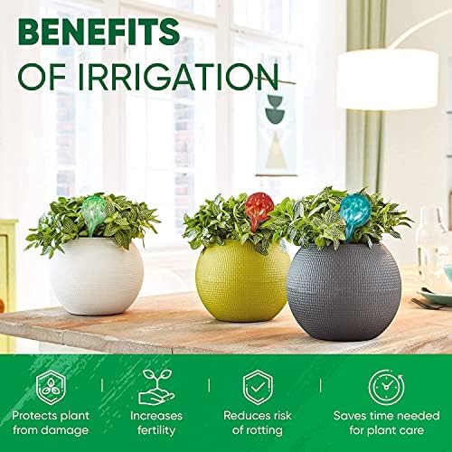 Plant Watering Globes Set of 8, Large - Glass Self Watering Globes