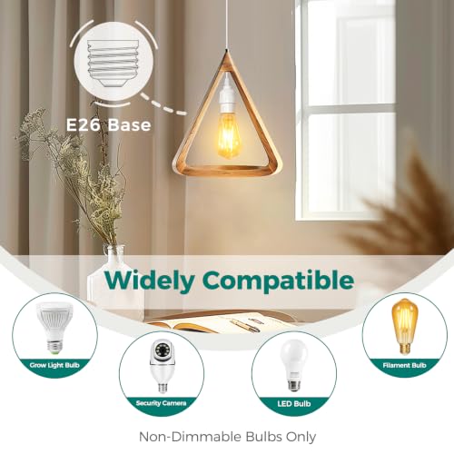 DiCUNO Hanging Lantern Extension Cord Cable, E26 Pendant Light Socket On Off Inline Cord Switch Control Lamp, Switch Close to Polarized Plug, 13 Feet, White, 1-Pack - style: 13ft - White
