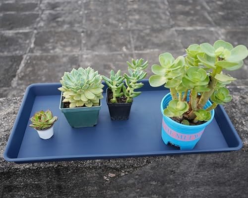 VUWEZ Rectangle Plant Tray, Plant Drip Tray, Plant Pot Saucers, Plant Germination Trays, Plant Saucers, 14.5'' x 11'' x 1.5'' (4 pack), Blue