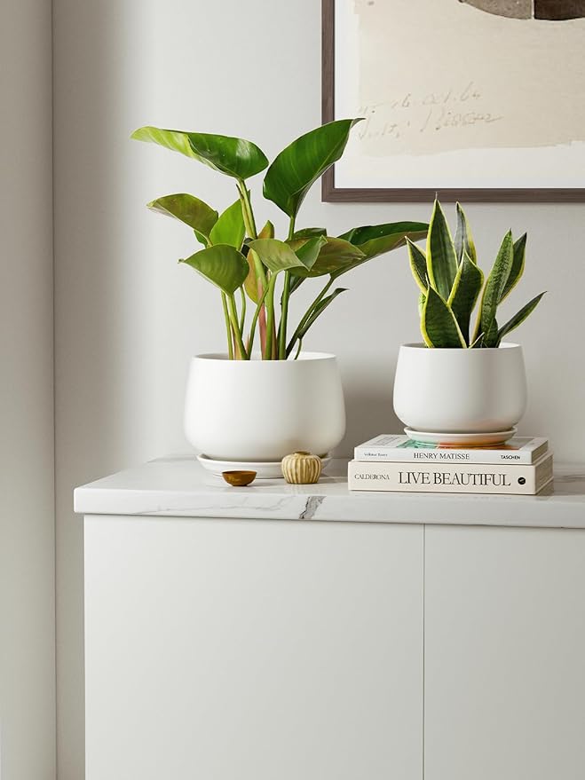 LE TAUCI Ceramic Plant Pots, 4.1+5.1+6.5 inch, Set of 3, Planters with Drainage Hole and Saucer, Indoor Flower Pot with Hole Mesh Pad, Gifts for Mom, White