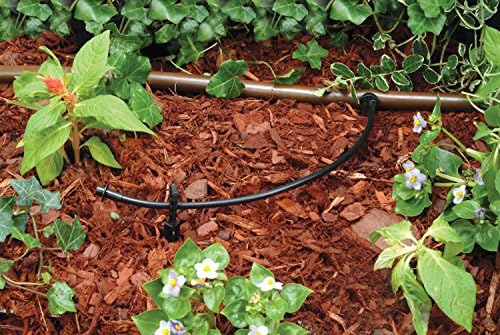 Rain Bird T22-100S Drip Distribution Tubing, 1/4"