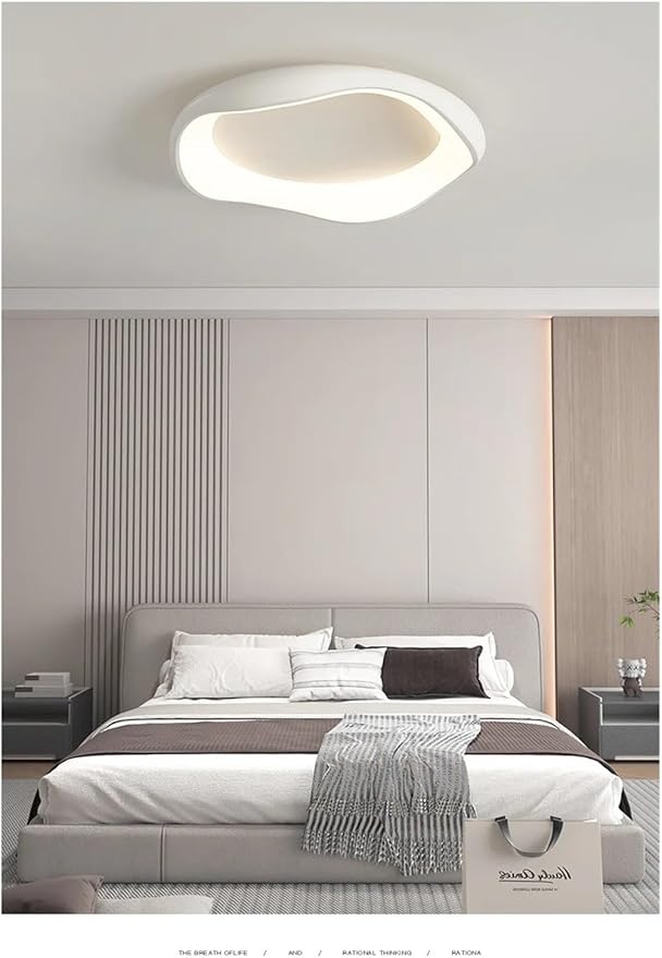 Modern Bedroom Ceiling Light Minimalist Interior Intelligent Lamp Living Room Bar Counter Home Decoration Lighting Fixture Contemporary(Black-52cm)