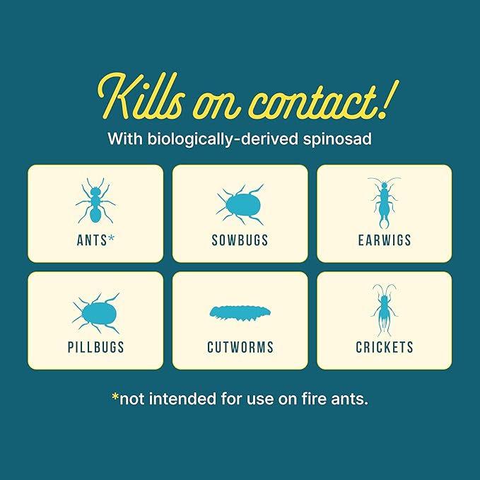 Sunday Ant Adios - Bug & Ant Killer - Outdoor Insect Control Uses Spinosad to Eliminate Ants, Earwigs, Cutworms, & More - Treats 4,000 sq ft - Results in 3-14 Days - 2 Pack, 2lbs