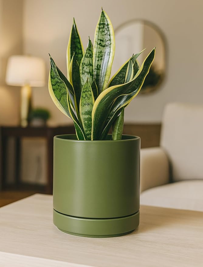 D'vine Dev 6.5 Inch Ceramic Planter Pot with Drainage Hole and Saucer, Indoor Cylinder Round Planter Pot, Olive, 94-O-C-J