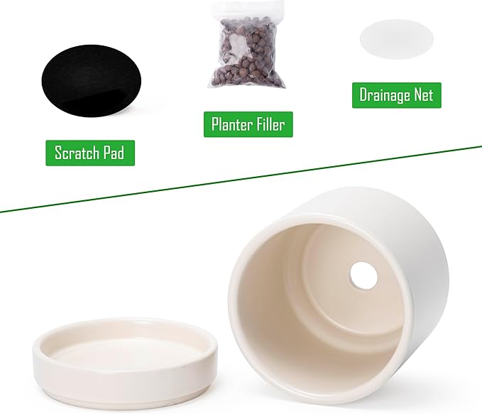 D'vine Dev 4.7 Inch Ceramic Planter Pot with Drainage Hole and Saucer, Indoor Cylinder Round Planter Pot, Oatmeal, 94-O-B-8
