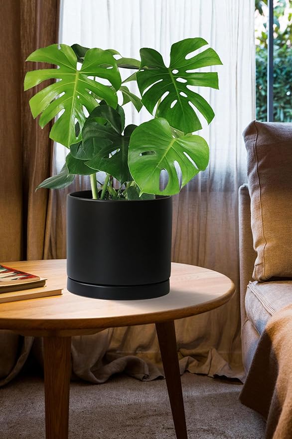 Aveyas 8 inch Ceramic Plant Pot with Drainage Hole and Saucer - Suitable for Indoor and Outdoor Use, Modern Planters for House Garden Flower Tree Snake Monstera Plants (8", Matte Black)