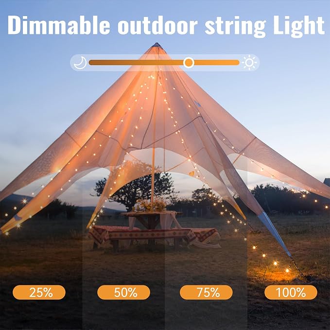 WERTIOO Globe String Lights Battery Operated – 23ft 60 LED Globe Lights with Remote, 8 Modes & Timer – Warm White String Lights for Bedroom, Christmas Tree, Garden, Tent, Camping, Indoor & Outdoor