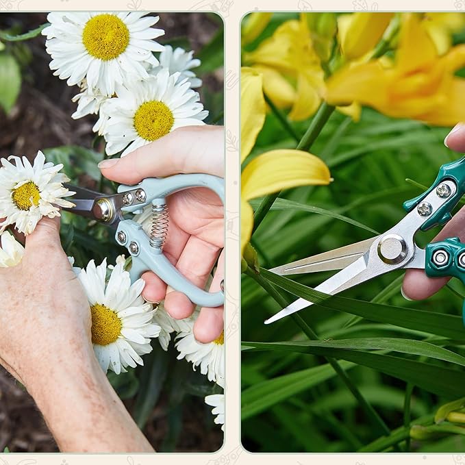 Modern Sprout Pruning Shears - Herb Snipping Scissors- Lightweight Gardening Tools W/Easy Lock - Flower Cutter Garden Shears - Carbon Steel Blade + Reusable Holster (Sage, 1-Pack)