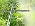 360° Adjustable Drip Irrigation System with 32 Nozzles & Water Timer