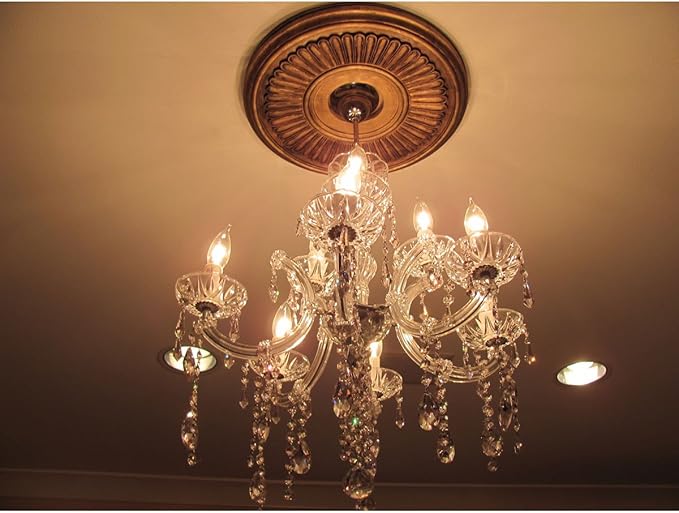 Ekena Millwork 15 3/4"OD x 3 7/8"ID x 3/4"P Berkshire Ceiling Medallion Fits Canopies up to 7" Ceiling Medallion, Platinum