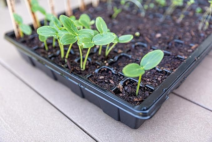 Gardzen Seed Starter Tray, 5 Pack Smiling Face Plant Germination Trays with Total 350-Cell, Seed Starter Kit with Humidity Vented Domes and Bases for Starting Vegetable Flower Herb Seeds 18" x 14"