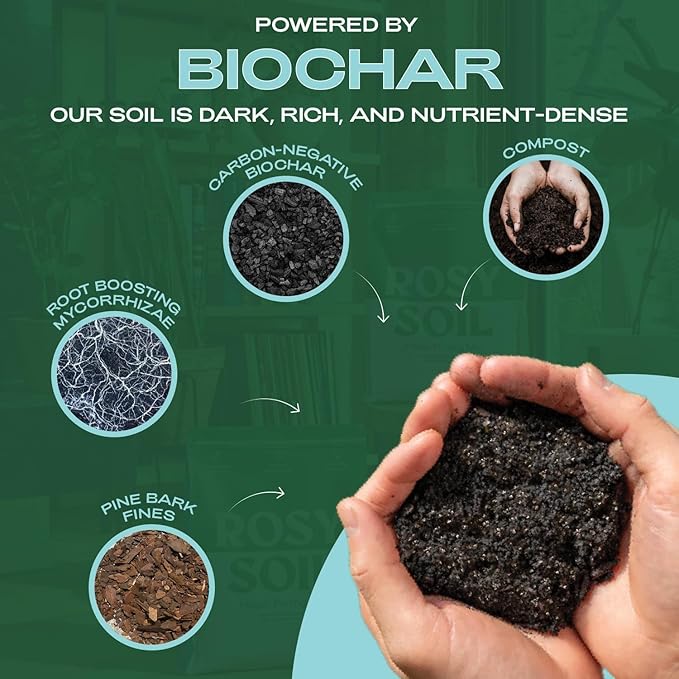Rosy Soil Indoor Potting Soil for House Plants - Organic Potting Soil Mix for Indoor Plants - Enriched w/Root-Boosting Biochar for Foliage Plants, Flowers, Herbs - Peat Free, Less Prone to Gnats - 8qt