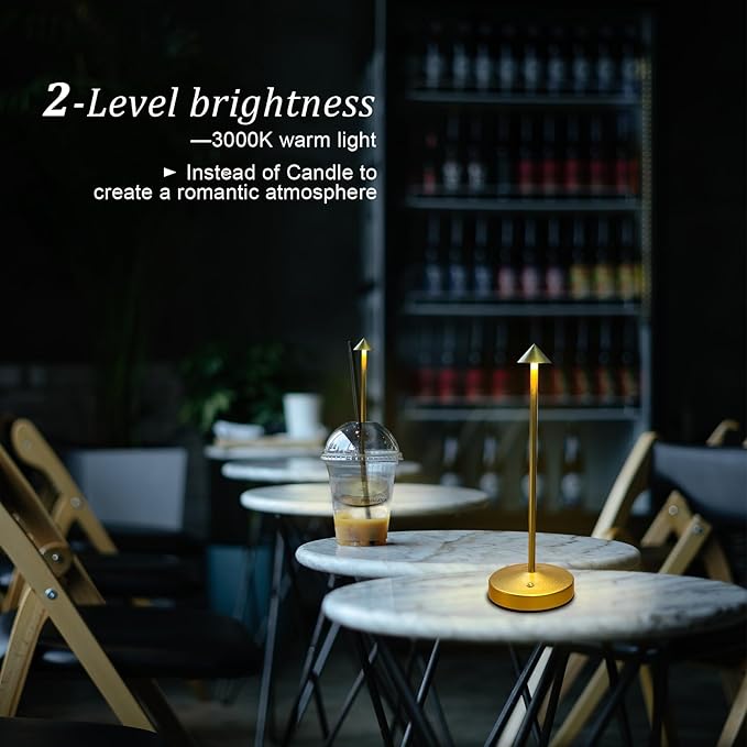 Rechargeable Cordless Table Lamp,Small Table Lamp,Portable LED Touch 2 Levels Brightness Dimmable Bar Lamp,Battery Powered Desk Lamp for Bars,Restaurant,Living Room(Gold)