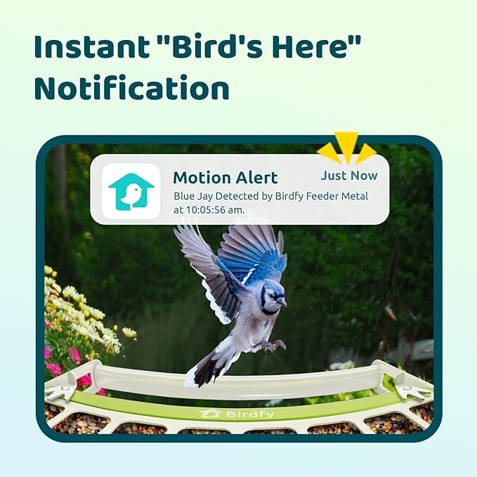 Birdfy Smart Bird Feeder with Camera, Durable Metal Feeders for Outdoors, Auto-Identify & Record Video, Instant Alert, Live Bird Watching Camera Solar, Gifts for Backyard Birder (AI Lifetime Free)