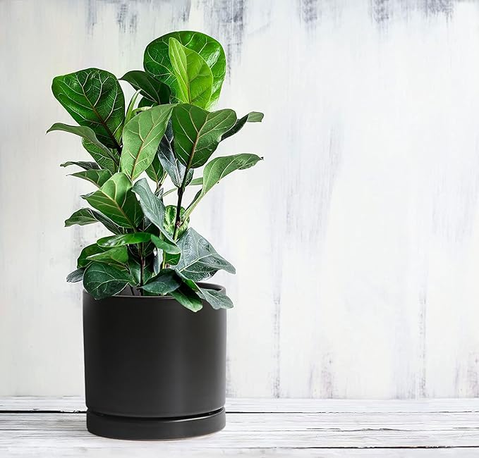 Aveyas 8 inch Ceramic Plant Pot with Drainage Hole and Saucer - Suitable for Indoor and Outdoor Use, Modern Planters for House Garden Flower Tree Snake Monstera Plants (8", Matte Black)