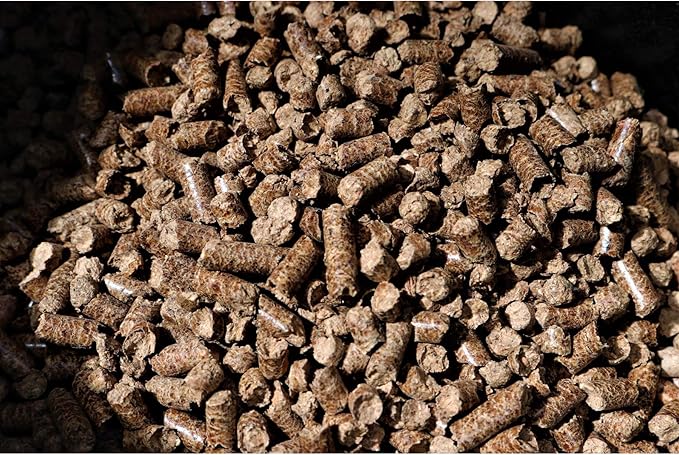Bear Mountain FB14 Premium All Natural Low Moisture Hardwood Smoky Hickory BBQ Smoker Pellets for Outdoor Grilling, 40 Pound Bag (4 Pack)