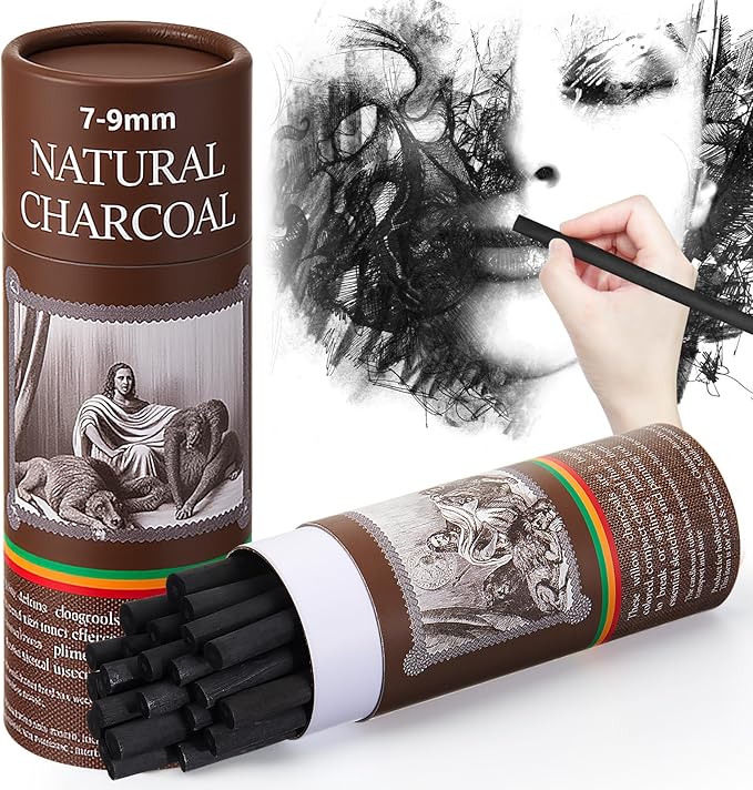 Gueevin 25 Pcs Willow Charcoal Sticks, Willow Charcoal, Artists, Beginners, Students, Perfect for Sketching, Drawing, Shading, and Fine Art Christmas Gifts for Art (7-9mm)