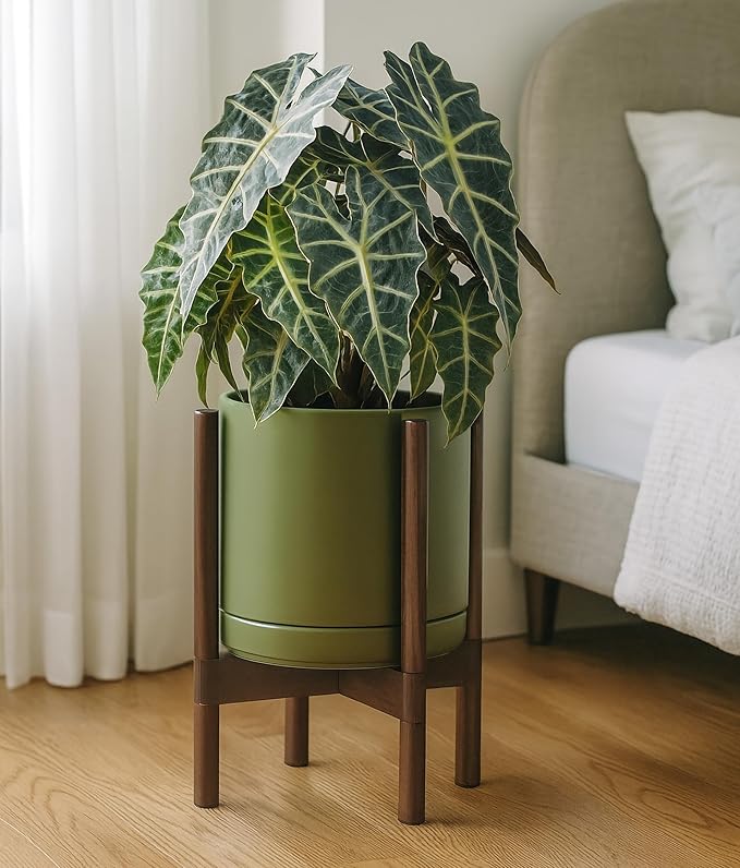 D'vine Dev Ceramic Planter with Walnut Color Stand - 10 Inch Modern Round Flower Pot with Wood Planter Holder, Olive, 55-B-X-J