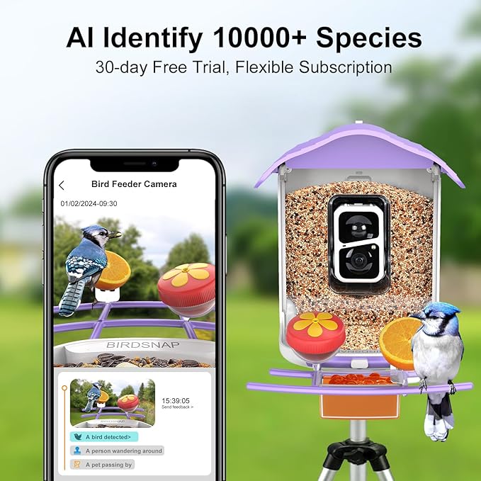 birdsnap® PAV- Smart Bird Feeder with Camera Solar Powered, 64GB Card & 2K HD Record Video Bird Camera Live with 5 DIY Add-ons, AI Identify Auto Capture, Ideal Gift for Birds Lover