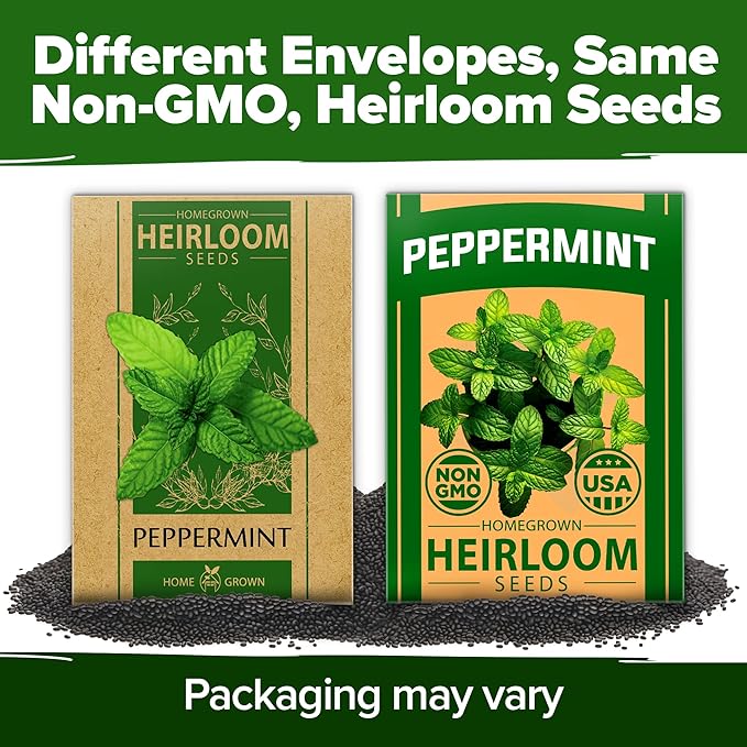 HOME GROWN Peppermint Seeds 2 Pack (Mentha × piperita) – 4,740 Heirloom Mint Seeds for Planting – Grow Indoors or Outdoors, Kitchen Herb Garden Favorite