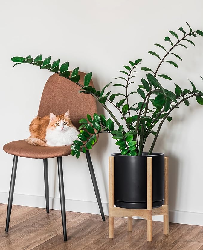 D'vine Dev Ceramic Planter with Natural Stand - 10 Inch Modern Round Flower Pot with Wood Planter Holder, Black, 55-B-K-2