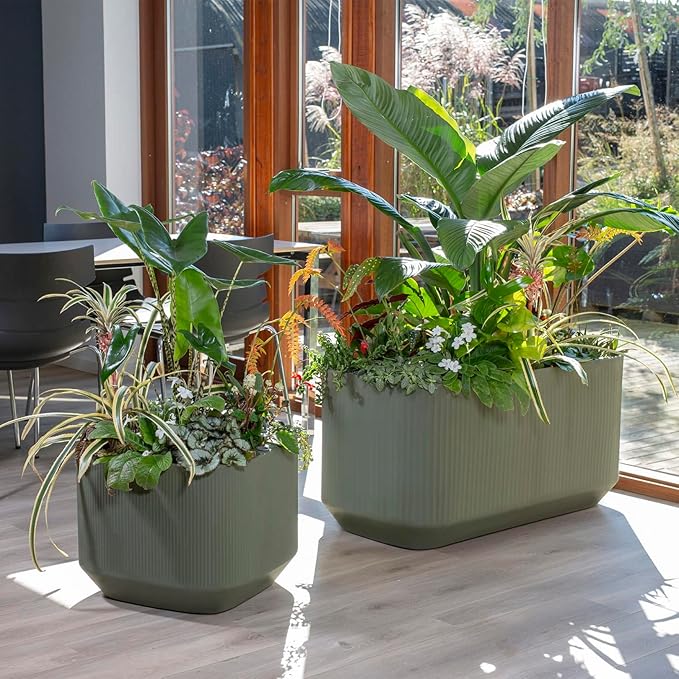 Crescent Garden Modular Self-Watering Plant Box with TruDrop Water Level Indicator, Indoor/Outdoor, Small Modern Box Planter for Herbs, Flowers, Peace Lily, Houseplants - 20"x20"x16"H (Olive)