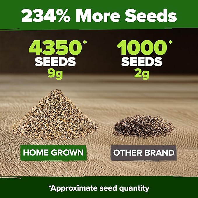 HOME GROWN Arugula Seed 2 Pack – 4350 Vegetable Seeds – Non GMO Ideal Seeds for Hydroponic Garden Indoor – Premium and Heirloom Arugula Seeds for Planting (Eruca vesicaria)