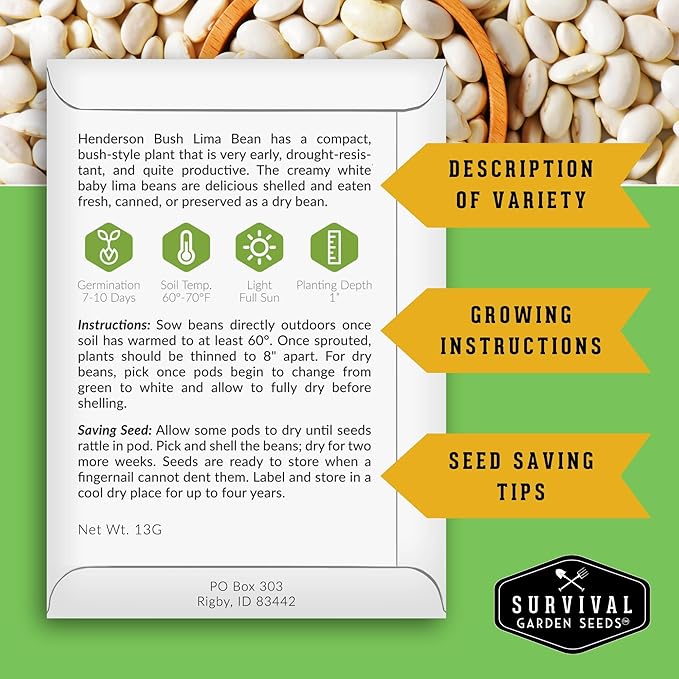Lima Bean Seeds for Planting – Henderson Butter Bean Seeds for Gardens & Classroom Science Projects, Easy to Grow Non-GMO Heirloom Variety - Survival Garden Seeds (2 Packs)