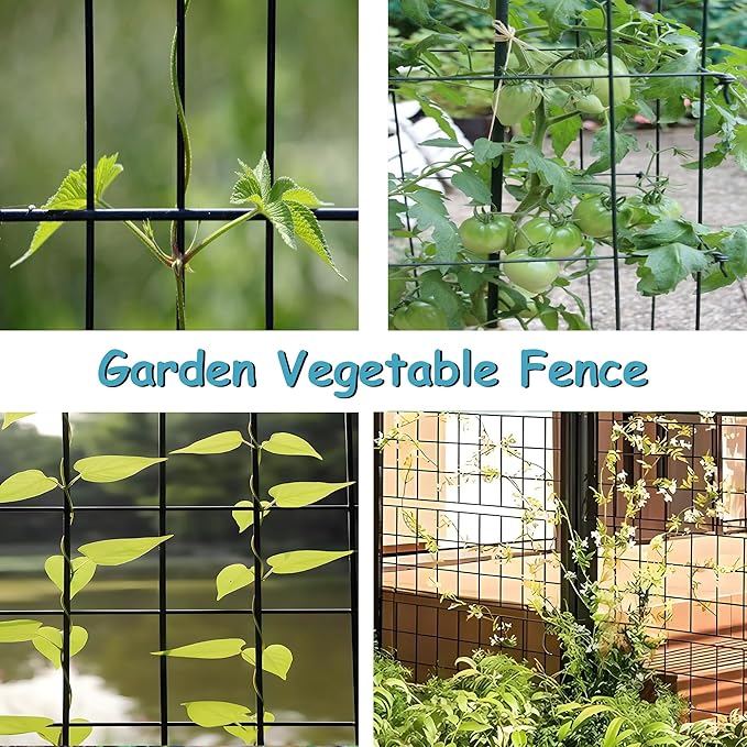 Black Metal Garden Fence, 48inch(H) x 50ft(L), 2 inch x 3 inch,14GA 2/3/4/5/6 Ft Tall Chicken Wire PVC Coated Welded Wire Mesh Roll for Dogs Border Yard Vegetable Plant Protection Poultry Netting