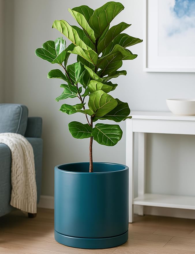 D'vine Dev 12 Inch Ceramic Planter Pot with Drainage Hole and Saucer, Indoor Cylinder Round Planter Pot, Teal, 94-O-F-9