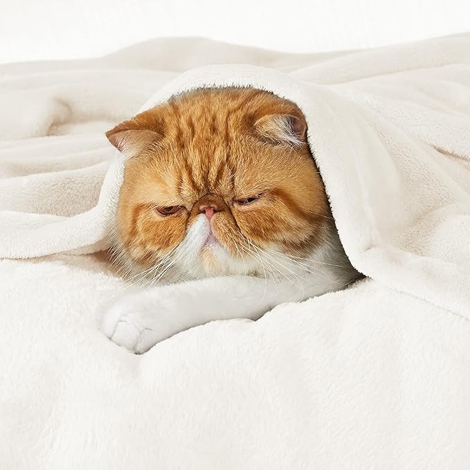Bedsure Fleece Blankets King Size Cream - Bed Blanket Soft Lightweight Plush Cozy Fuzzy Luxury Microfiber, 108x90 inches