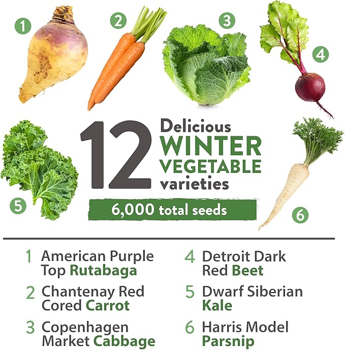HOME GROWN 12 Winter Vegetable Seeds Heirloom,Fall & Winter Vegetable Seeds for Planting Home Garden: Bean, Beet, Broccoli, Cabbage, Carrot, Cauliflower, Kale,Parsnip,Squash,Chard & More