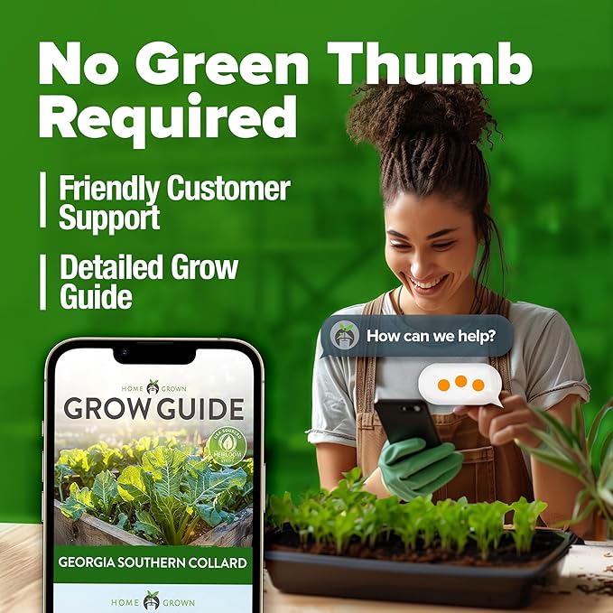 HOME GROWN Georgia Southern Collard Green Seeds – Bulk 2 Pack (600 High-Germination Non-GMO Heirloom Seeds) – for Planting in Vegetable Gardens (Brassica oleracea).