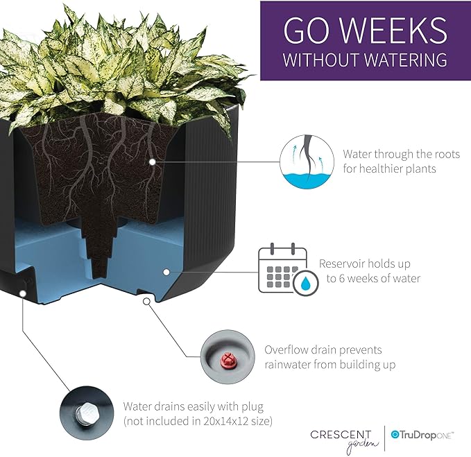 Crescent Garden Modular Self-Watering Tall Planter for Indoor & Outdoor, Modern Tall Square Planter with TruDrop Water Level Indicator for Patio, Corners, Entrance Decor- 20"x20"x38"H (Caviar Black)