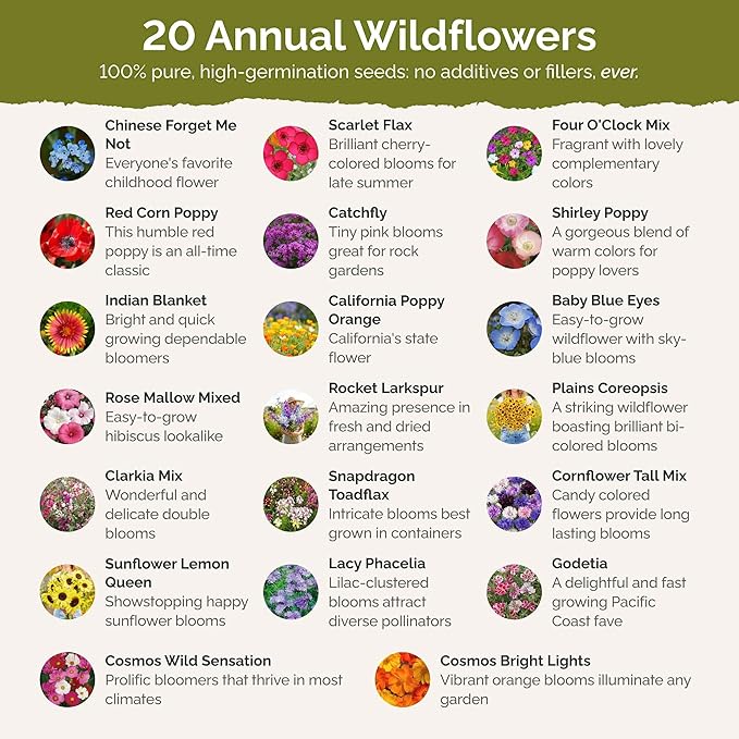 Eden Brothers All Annual Wildflower Mixed Seeds for Planting, 1 lb, 480,000+ Seeds with Sunflower, Indian Blanket, Scarlet Flax | Attracts Pollinators, Plant in Spring, Zones 3, 4, 5, 6, 7, 8, 9, 10