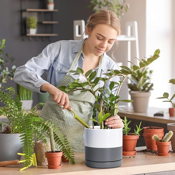 D'vine Dev 8.2 Inch Ceramic Planter Pot with Drainage Hole and Saucer, Indoor Cylinder Round Planter Pot, White/Speckled Grey, 94-O-D-6