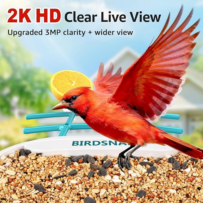 birdsnap® TUC Bird Feeder with Camera 2K HD, Solar Panel 32GB Card 4-in-1 Perch, 160°View Auto Detect & Notify AI Identify Video Bird Camera Wireless Outdoors Ideal Gift for Birds Lover
