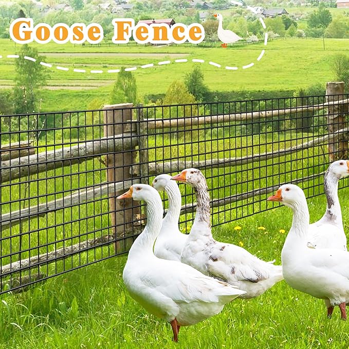 Black Metal Garden Fence, 60inch(H) x 50ft(L), 2 inch x 4 inch,12.5GA 2/3/4/5/6 Ft Tall Chicken Wire PVC Coated Welded Wire Mesh Roll for Dogs Border Yard Vegetable Plant Protection Poultry Netting