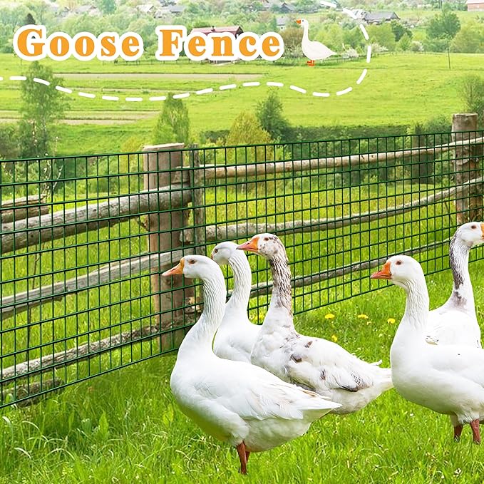 Green Metal Garden Fence, 60inch(H) x 100ft(L), 2 inch x 4 inch,12.5GA 2/3/4/5/6 Ft Tall Chicken Wire PVC Coated Welded Wire Mesh Roll for Dogs Border Yard Vegetable Plant Protection Poultry Netting